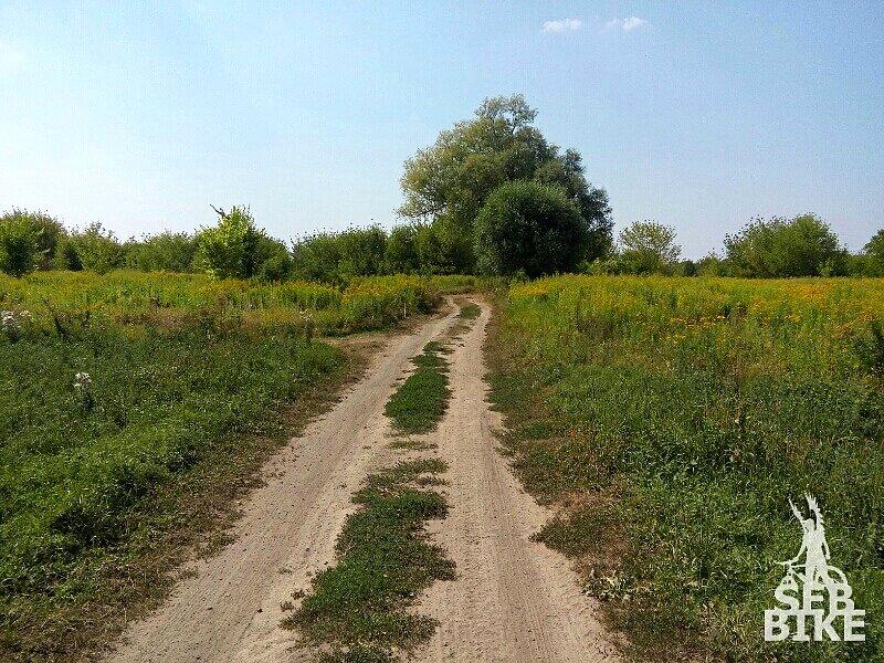 Dziekanów