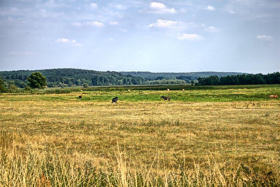 Przydrożne widoki