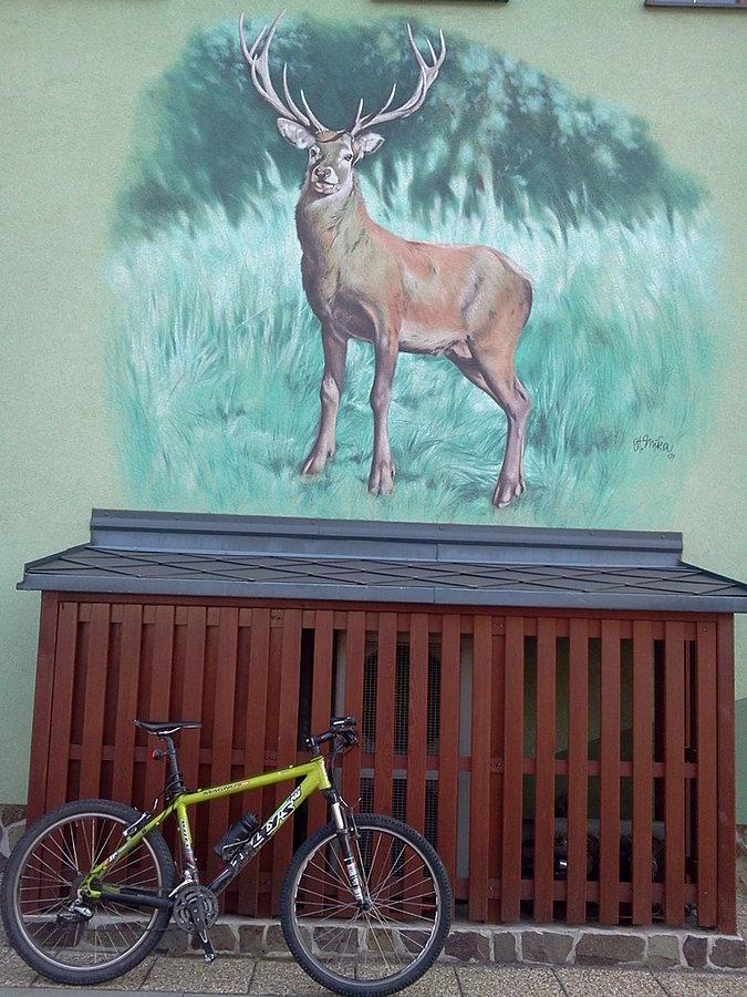 Hern i bike