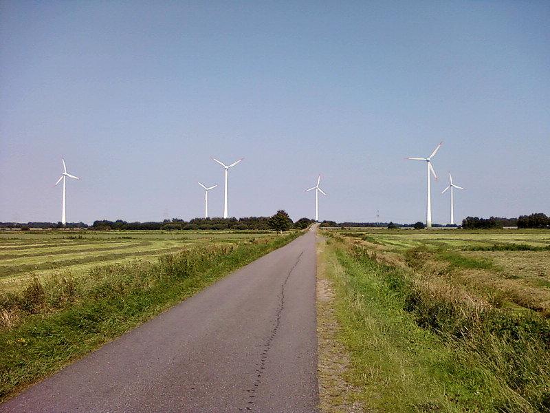 Farma wiatrowa
