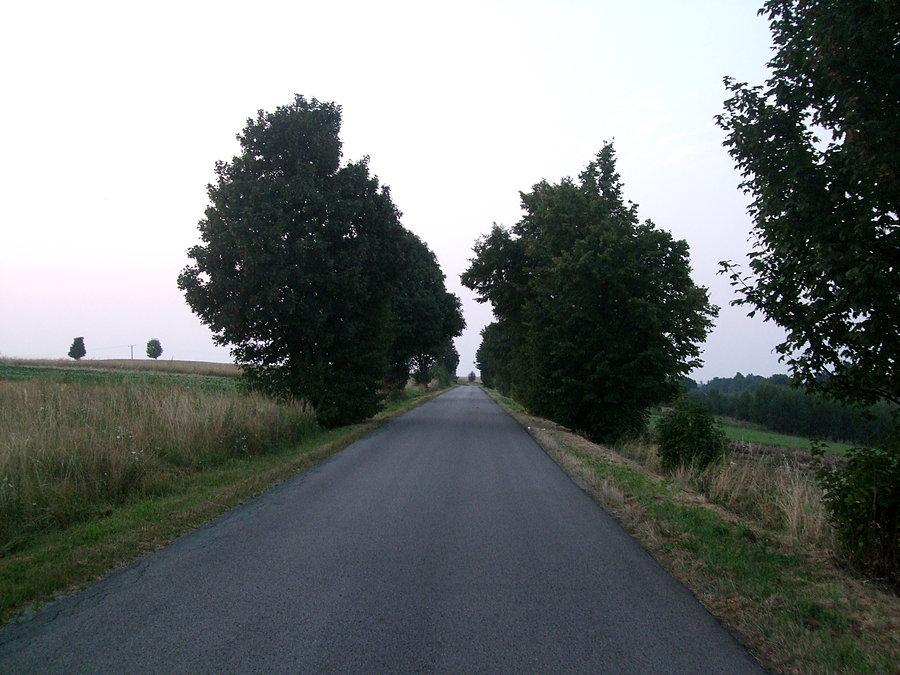 Ostatni podjazd pod Futomę