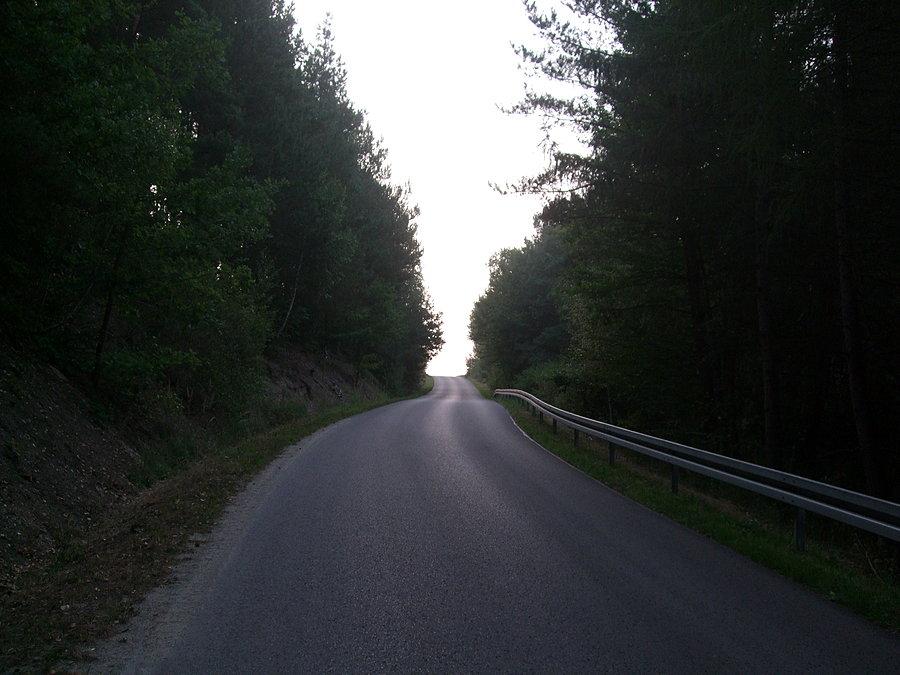 Łubno w stronę Dynowa
