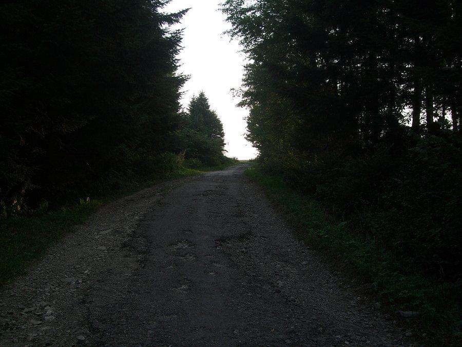 Podejście do Dylągowej na górę wsi