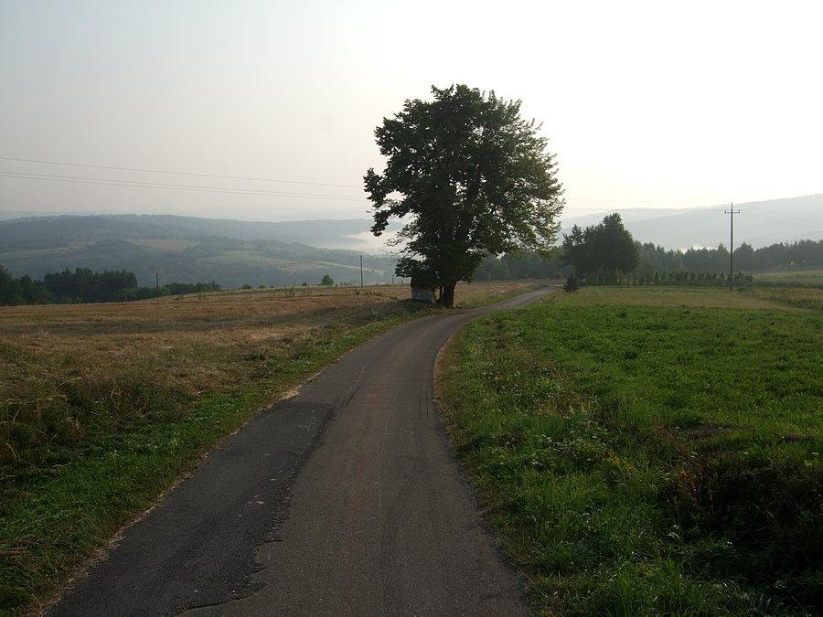 Zjazd do Słonnego