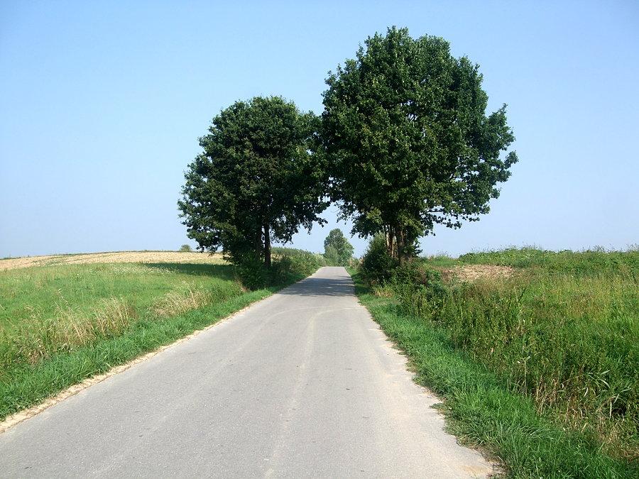 Z Huciska w stronę Tarnawki
