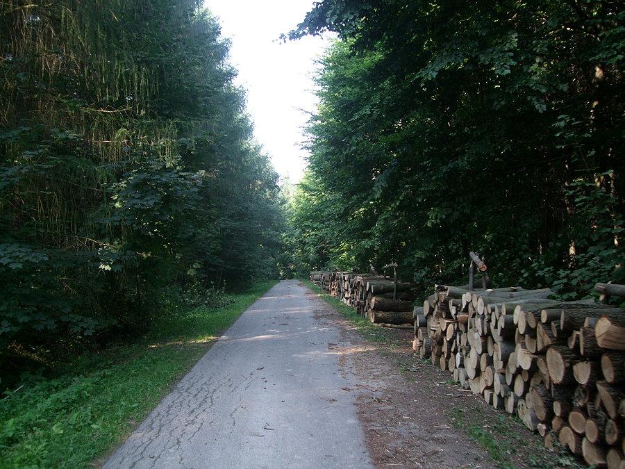 W stronę Zabratówki i stawów