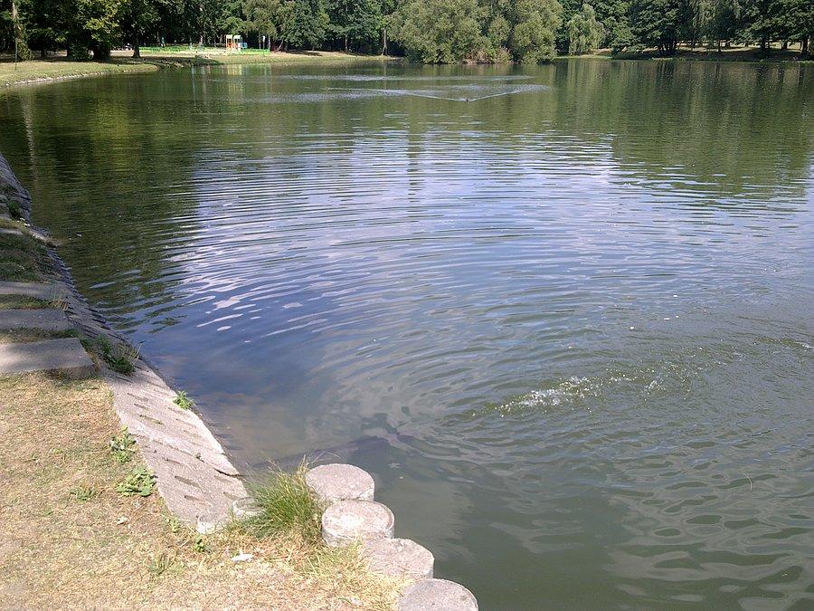 Łódź Zdrowie