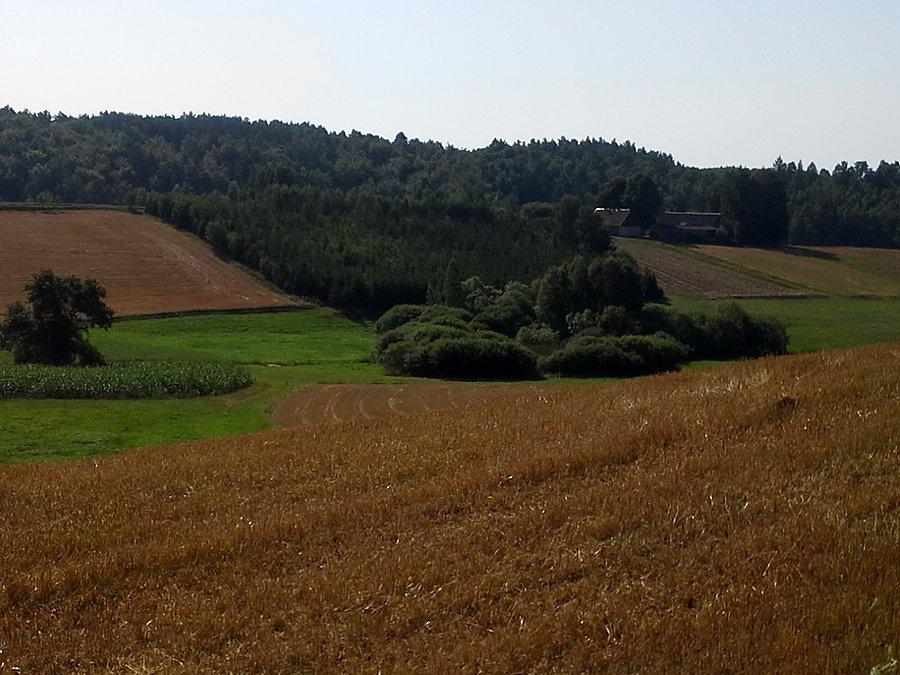 Kaszubskie pola, lasy, pagórki