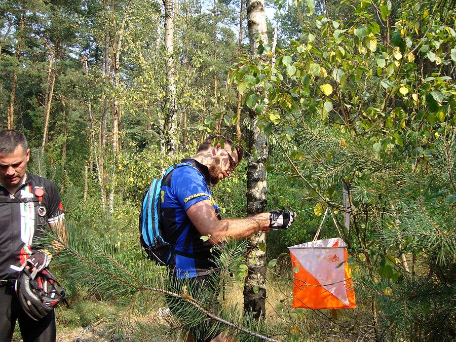 Ostatni, jedenasty punkt