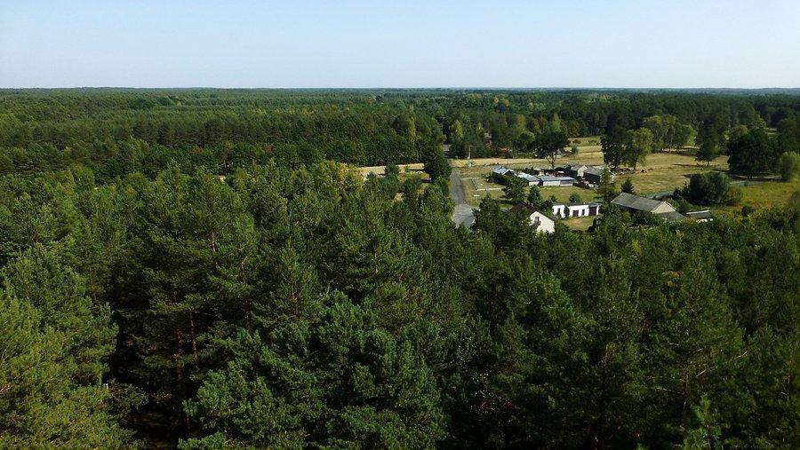 Widok na Kampinoski Park Narodowy