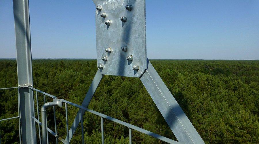 Kampinoski Park Narodowy widziany z wieży obserwacyjnej