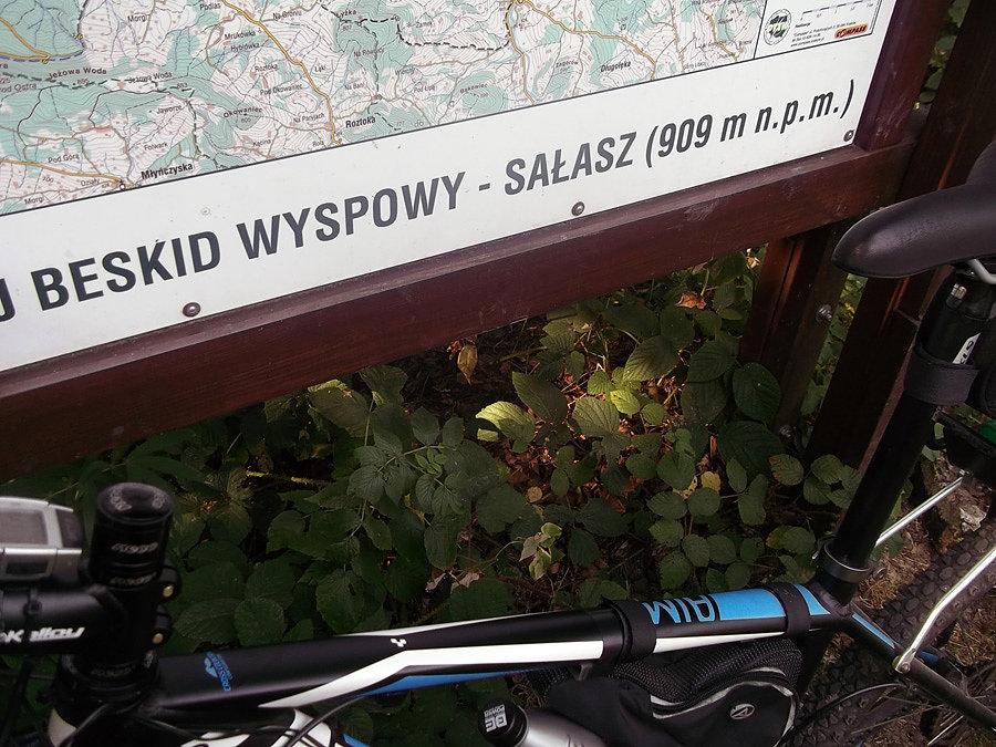 Sałasz