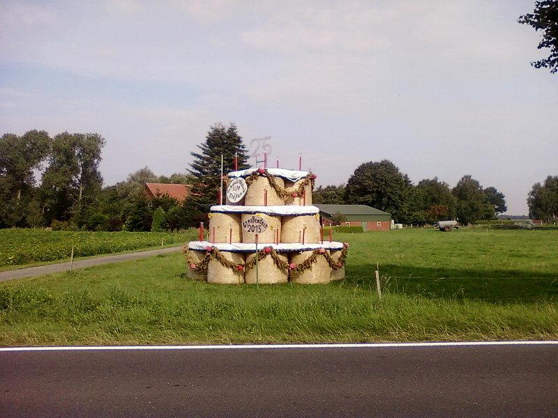 Tort z beli siana