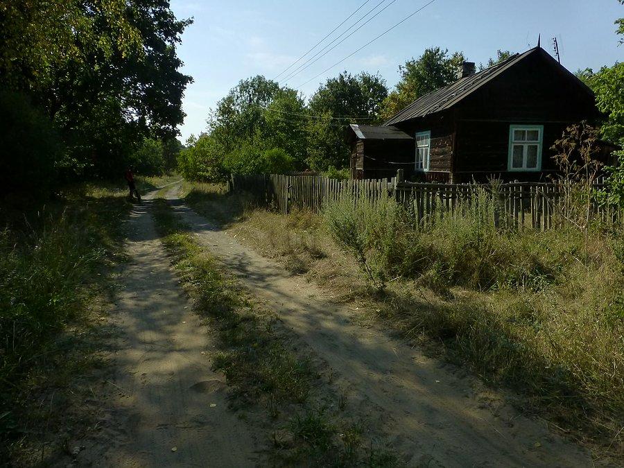 Krzywa Góra - krajobraz w zachodniej części Kampinoskiego PN