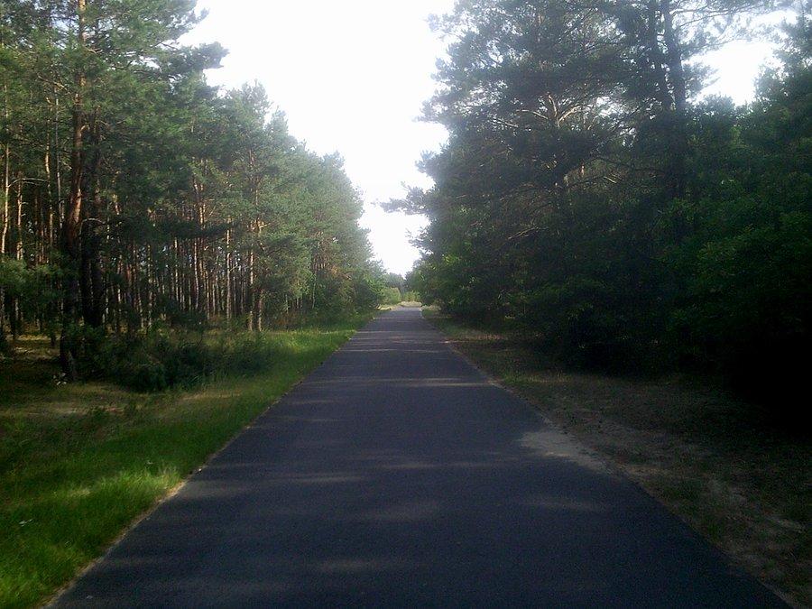 Przez las