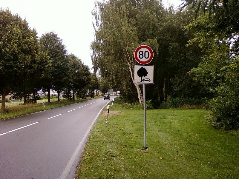 Uwaga drzewa