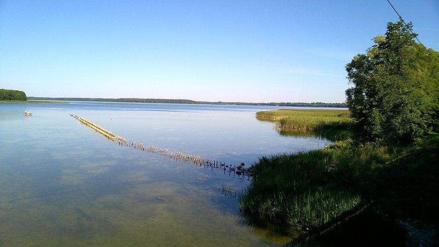 Łaśniady w Malinówce