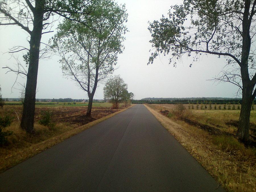 Szydłowice - Dobrzyń