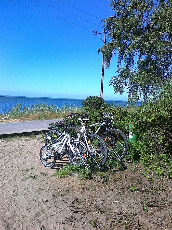 Na parkingu rowerowym nad zatoką
