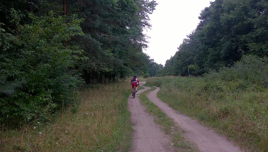 Dzisiejsza trasa