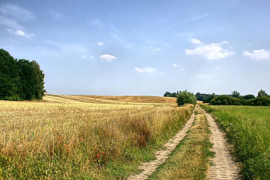 W drodze do Żelewa