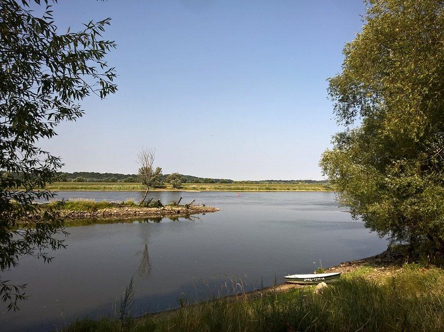 Widok na genialne łowisko boleniowe na Odrze w Bielikach