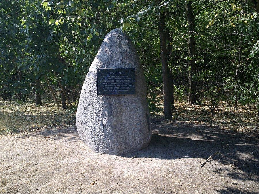 Łódź Brus