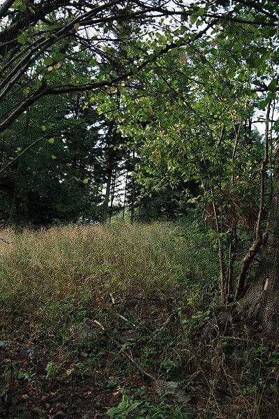 Wielka Góra szczyt 752 m