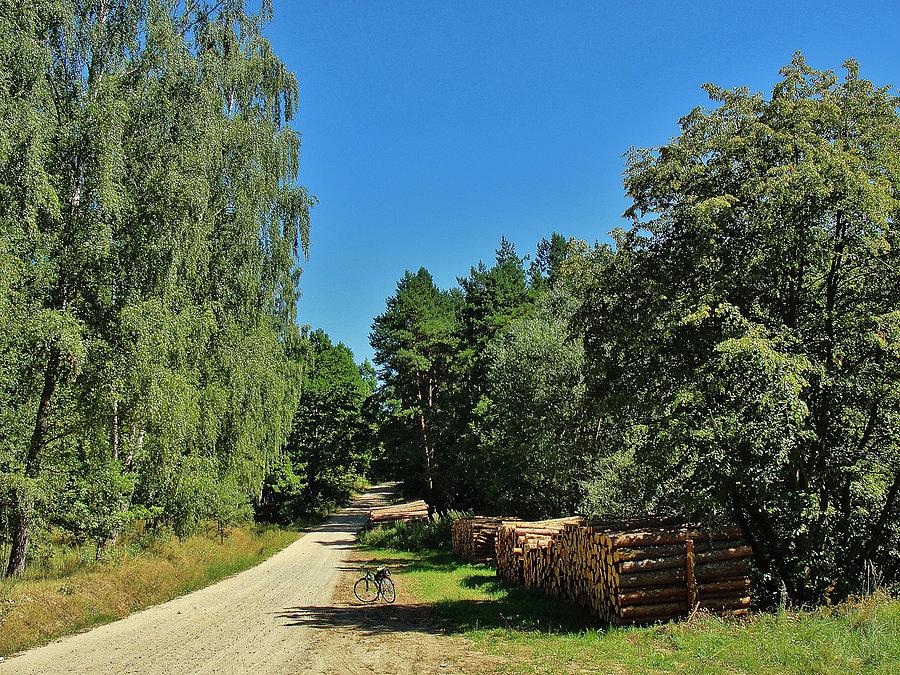 Okolice Tczewa