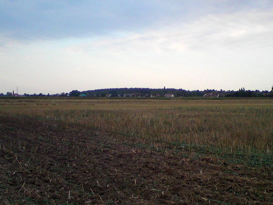 "Górka Myśliborzyce" za Myśliborzycami