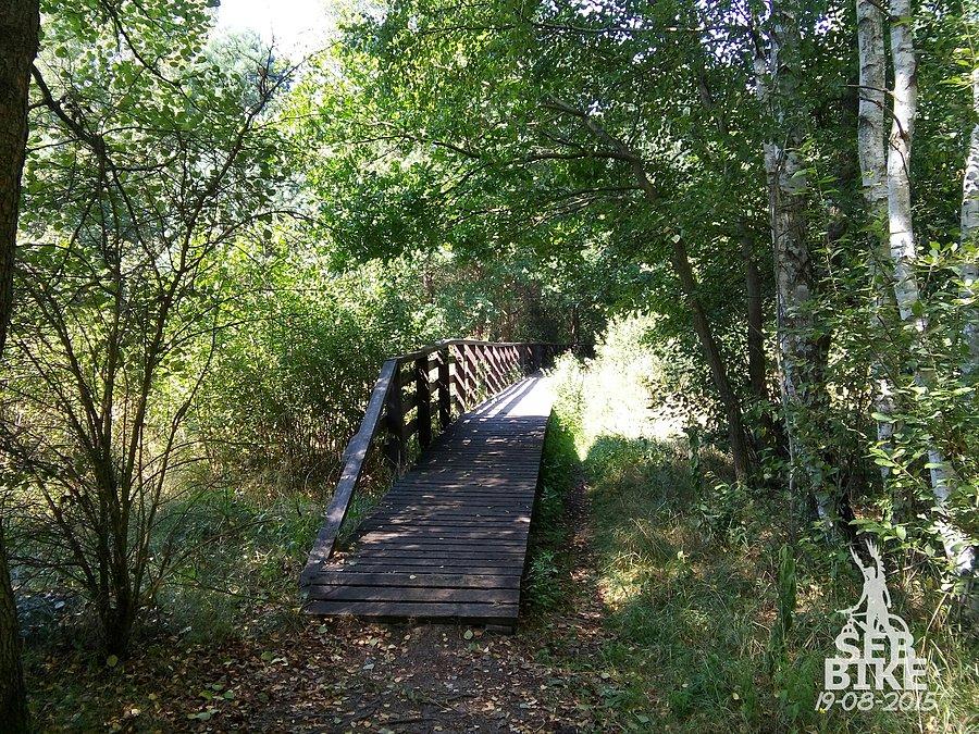 Kampinos