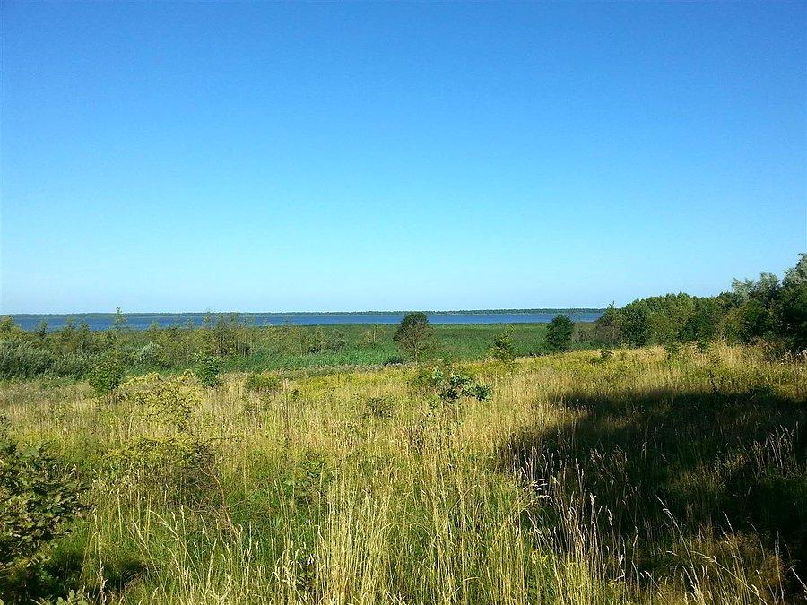 Jezioro Bukowo
