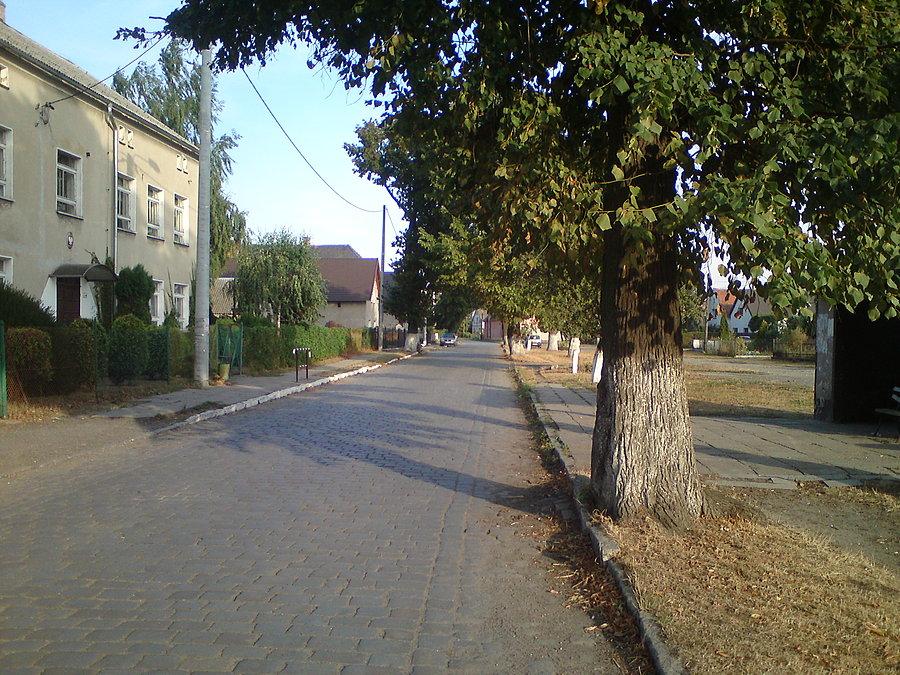 Bruki w Bąkowie