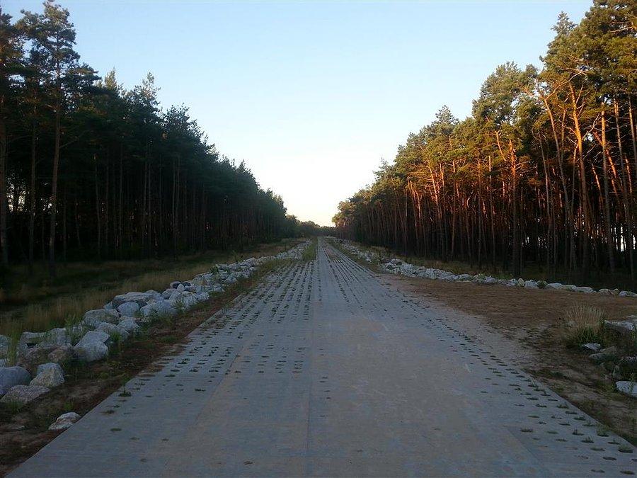 Droga Wicie - Darłowo