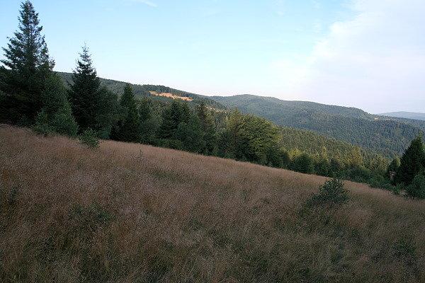 Hale nad górną doliną Łomniczanki