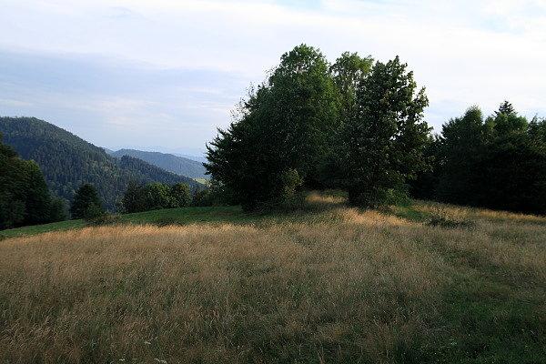 Stara droga z Niedźwiadków do doliny Łomniczanki