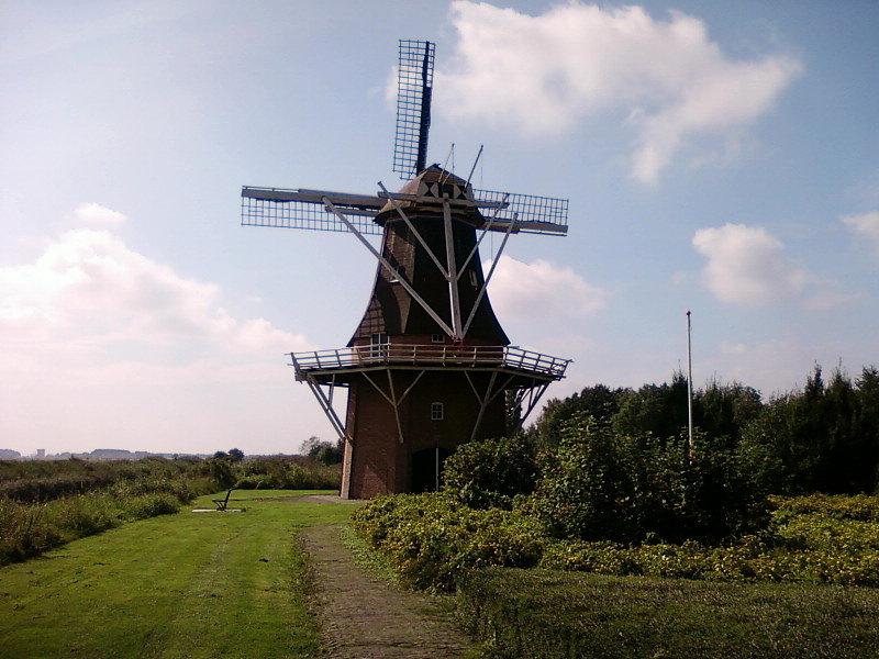 Wiatrak w Ganzedijk