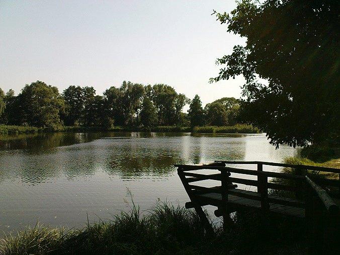 Górki Szymona i stawy wcale się nie wyludniły pomimo odejścia upałów. Chętni do ochłody w wodzie dalej są