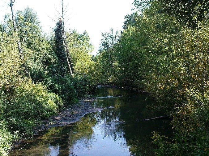 Jeziorka też toczy coraz mniej wody