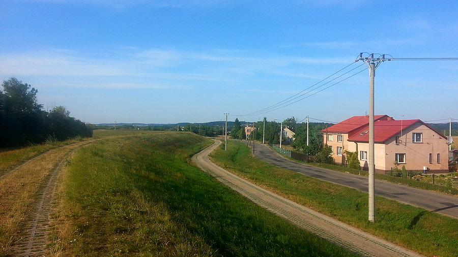 Wały polderu Buków
