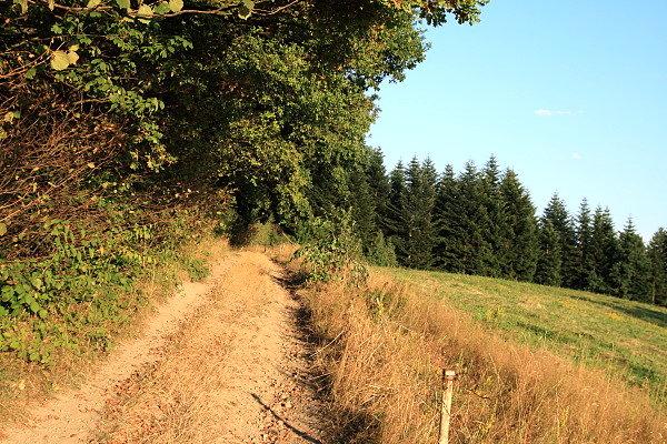 Jodłowa Góra, droga grzbietowa
