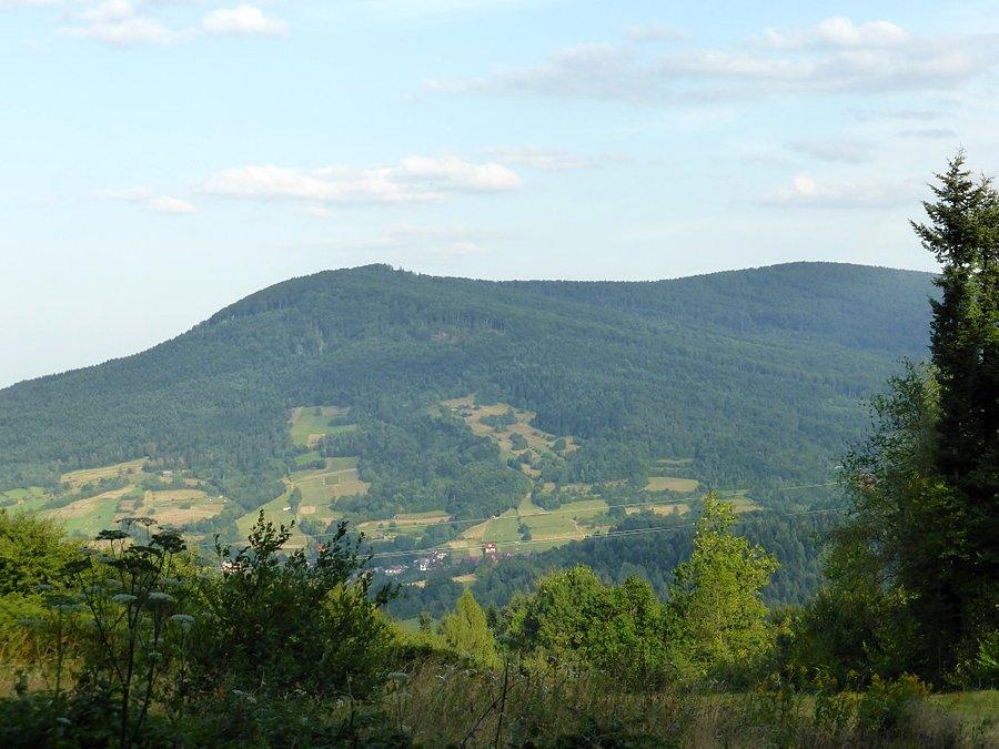 Ładnie tu
