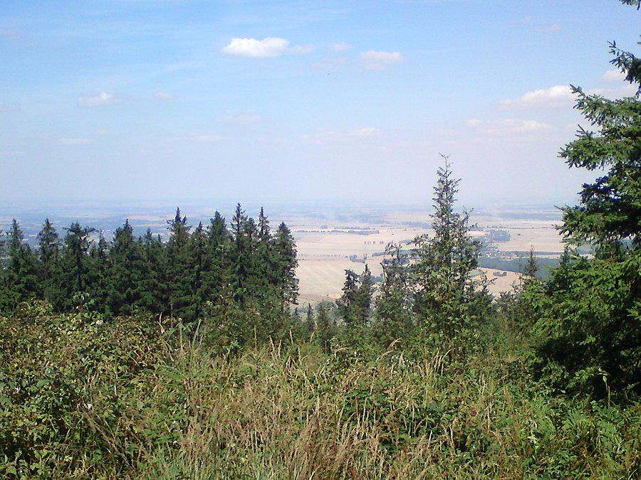Płaska Opolszczyzna, nad choinkami po lewej jest Jezioro Nyskie i Nysa na równi z wierzchołkami choinek w środku zdjęcia