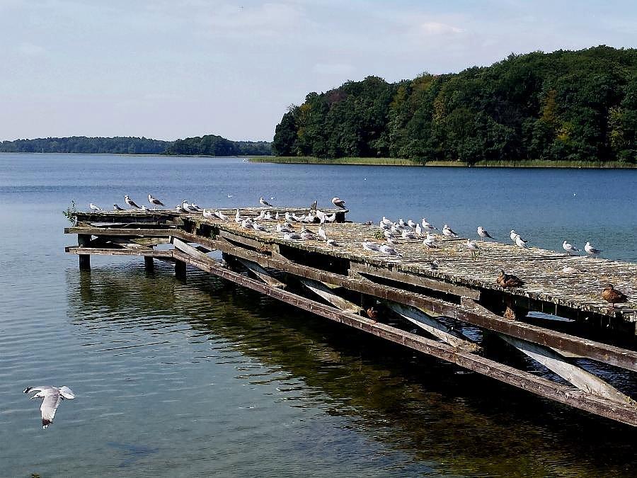 Jezioro Ińsko