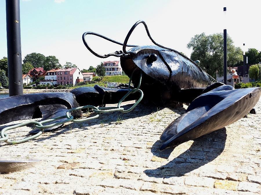 Rak w Ińsku