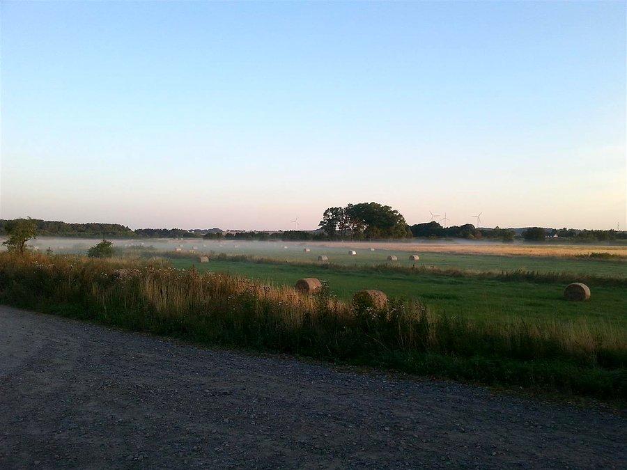 Opary nad polami