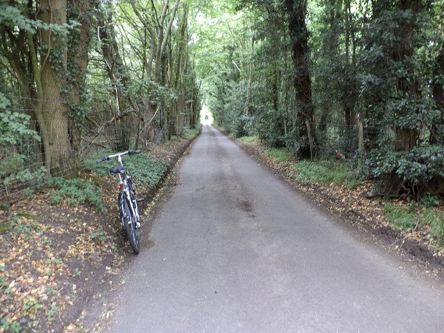 Three Gates Road