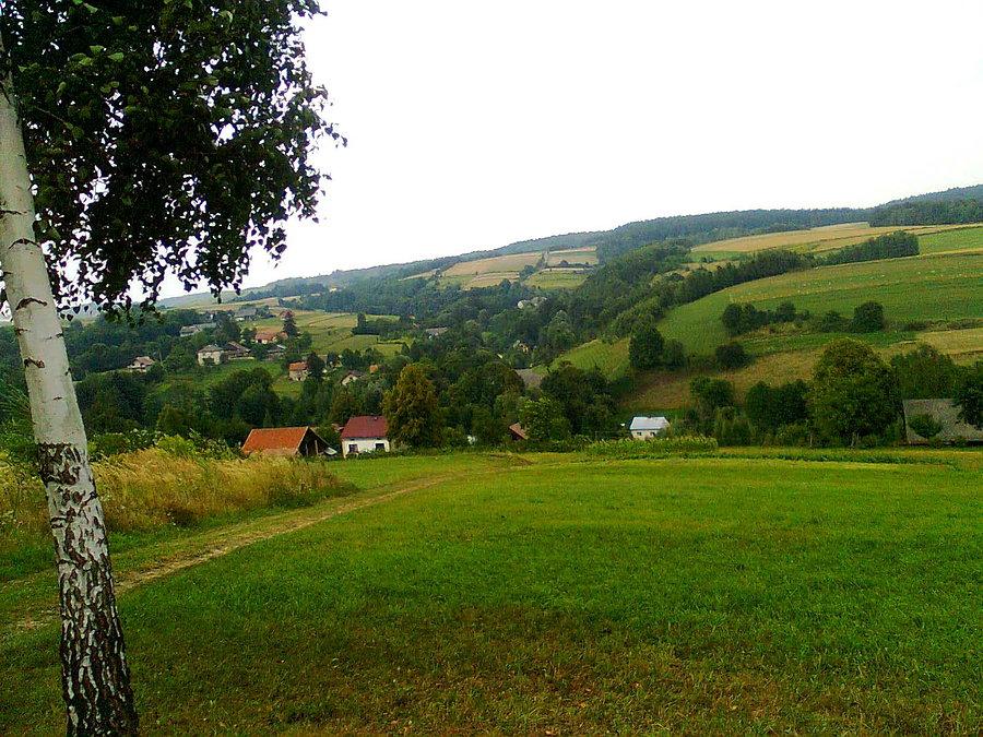 Pagórki - jadąc w kierunku Nawsia