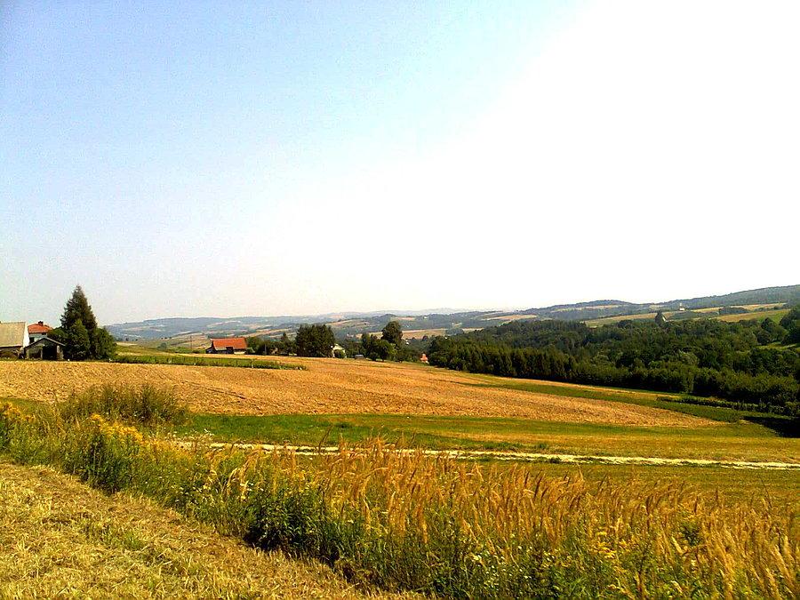 Widok na Różankę
