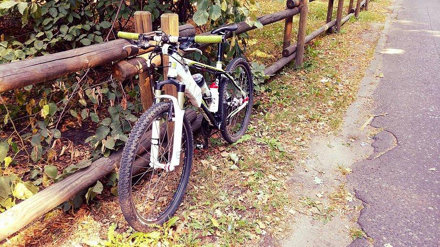 Czekając na Adriana